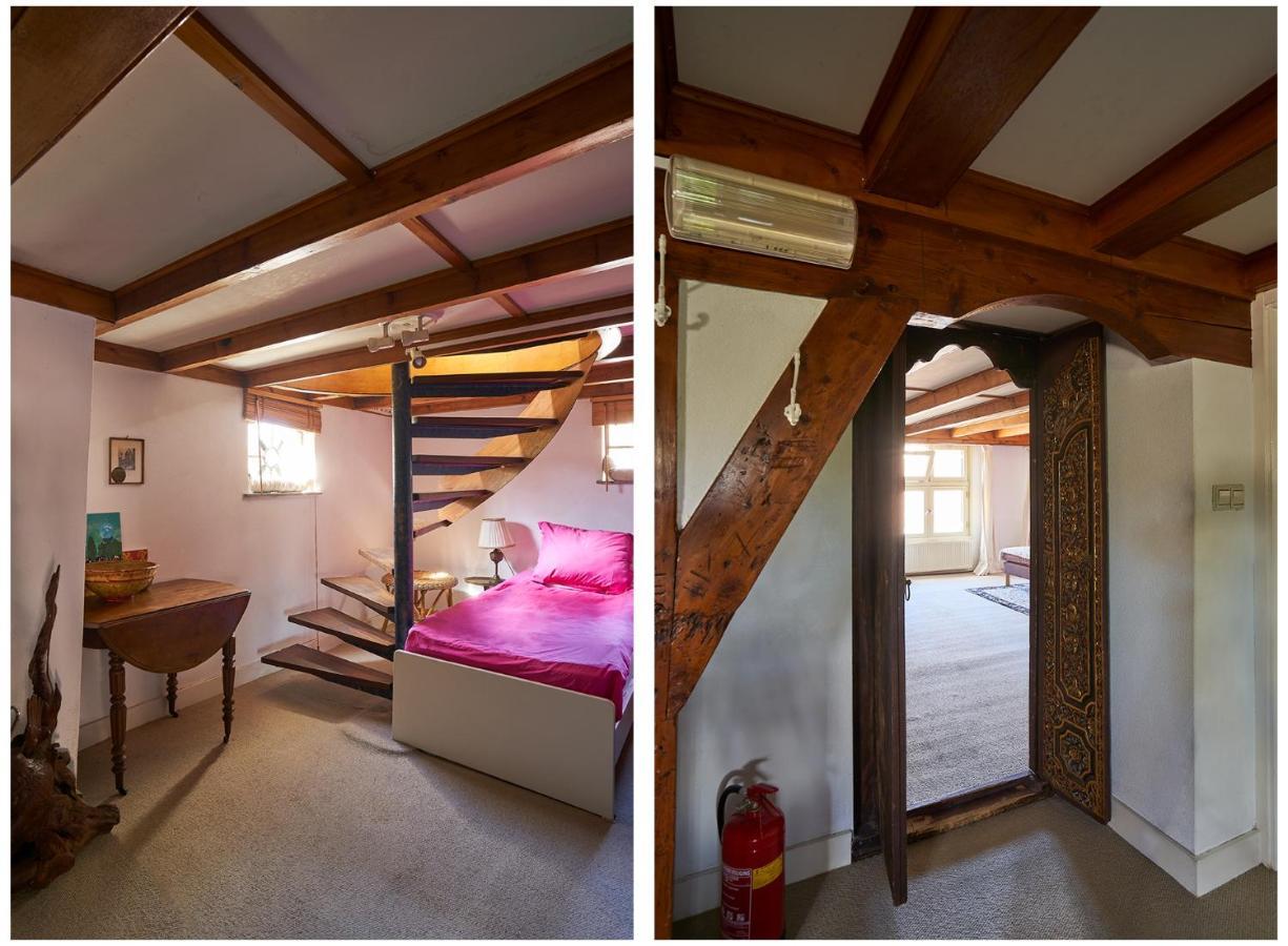 Huis Met De Leeuwenkoppen Dieren Luaran gambar